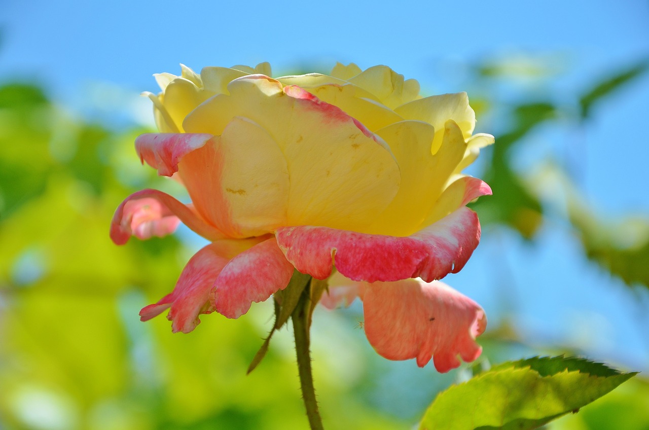 清明时节，画中话——以笔墨绘清明，以心灵寄哀思