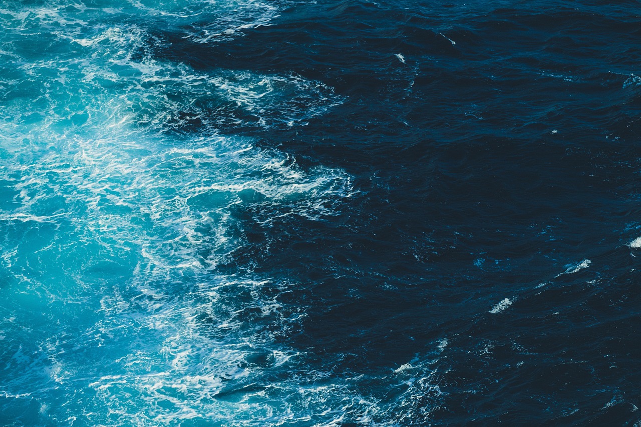 深海中的神秘守护者