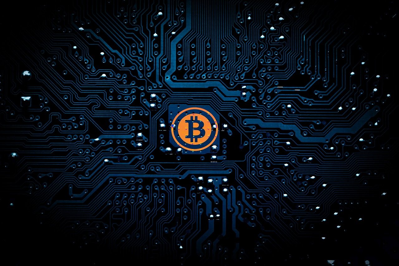 一位哲学家的孤独与探索