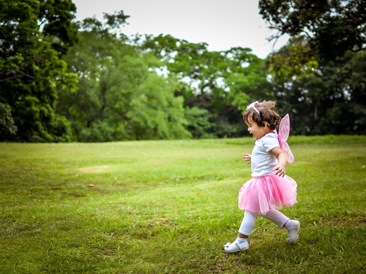 幼儿园生活常识知识大全，培养孩子们的生活智慧