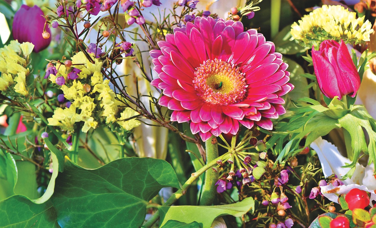 培育未来的花朵，孩子教育的艺术与科学
